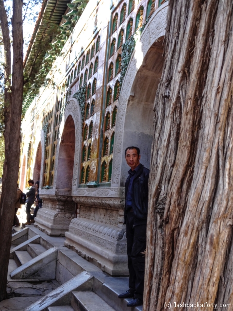 chinese-man-at-summer-palace-beijing