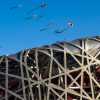 brids-nest-and-kites-olympic-park