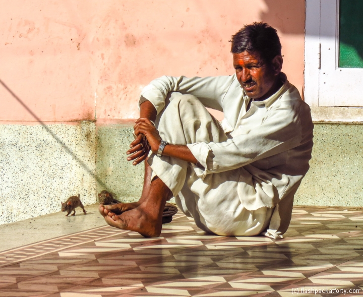 bikaner-rate-temple-man-with-rat
