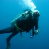 craig-diving-bohol