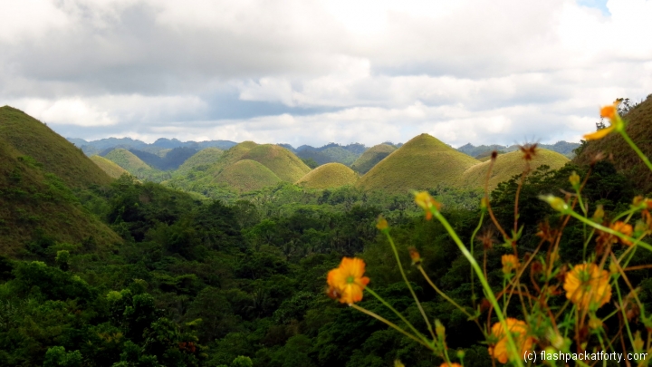 chocolate-hills-and-flower-bohol