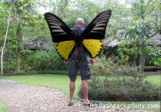 craig-with-butterfly-wings-bohol