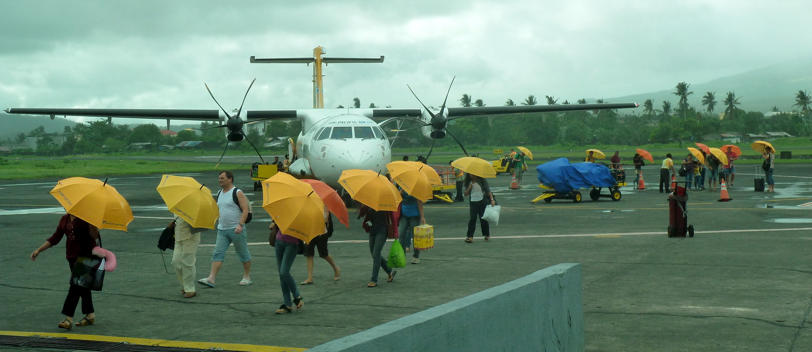 cebu-umbrellas-legazpi-airport