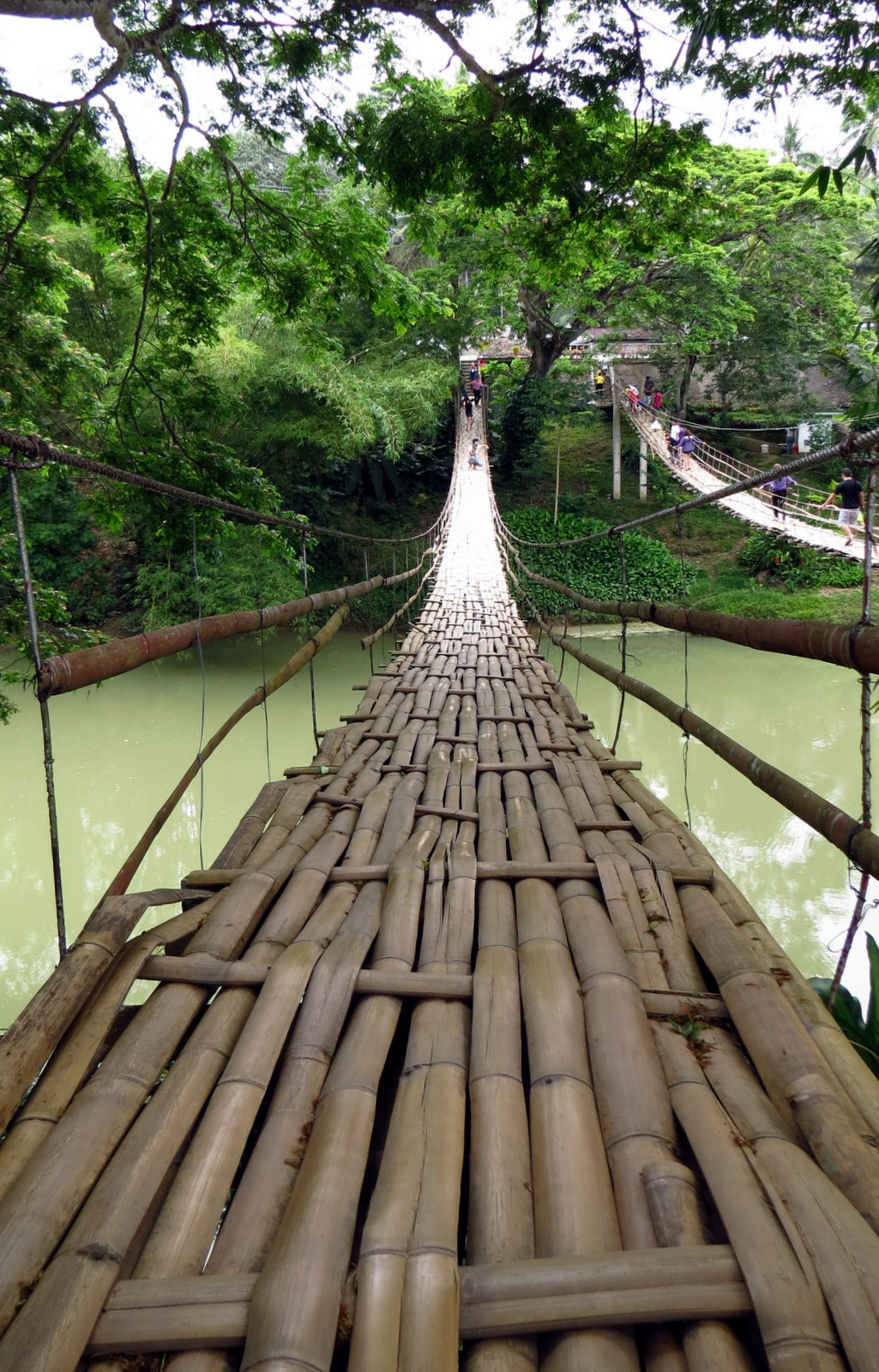 floating-bamboo-bridge-bohol