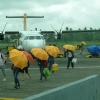 cebu-umbrellas-legazpi-airport