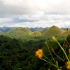 chocolate-hills-and-flower-bohol