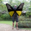 craig-with-butterfly-wings-bohol