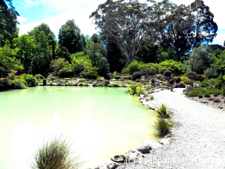 christchurch-botanical-gardens