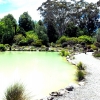 christchurch-botanical-gardens
