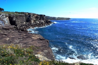 Coobee Coastal View