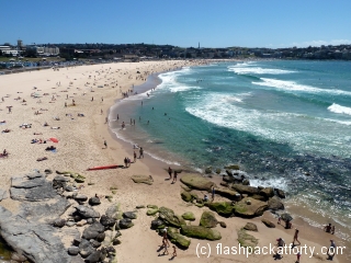 Bondi Beach View