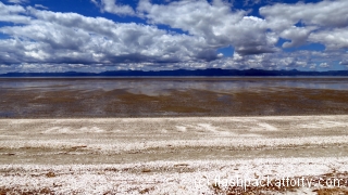 Miranda Shorebird View Low Tide