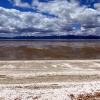 Miranda Shorebird View Low Tide