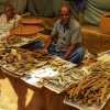 dambulla-market-fish-stall
