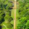 sigiriya-pathway-from-summit