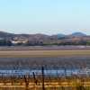 barbed-wire-north-korea-border