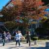 dorasan-station-kids-running