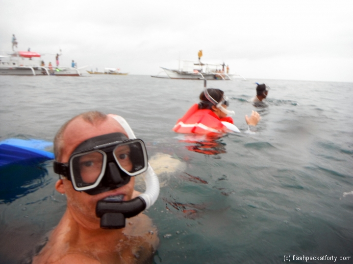 donsol-whale-shark-craig