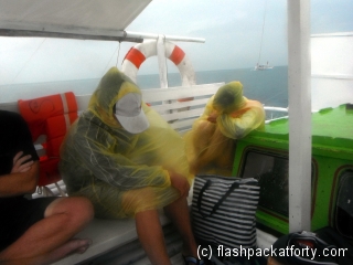 donsol-whale-shark-sleeping-koreans