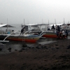 donsol-whale-shark-boats