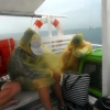 donsol-whale-shark-sleeping-koreans