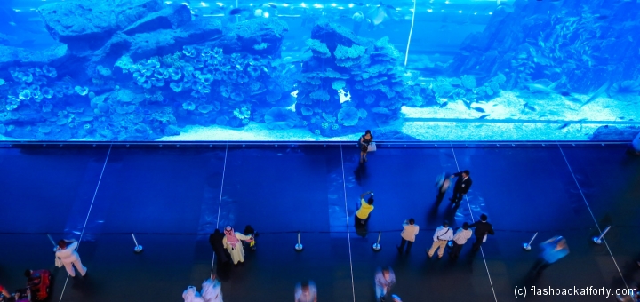 dubai-mall-aquarium-wall