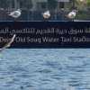 seagulls-and-water-taxi-station-dubai