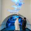 aquarium-tunnel-dubai