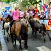 bull-and-horses-ceret-feria