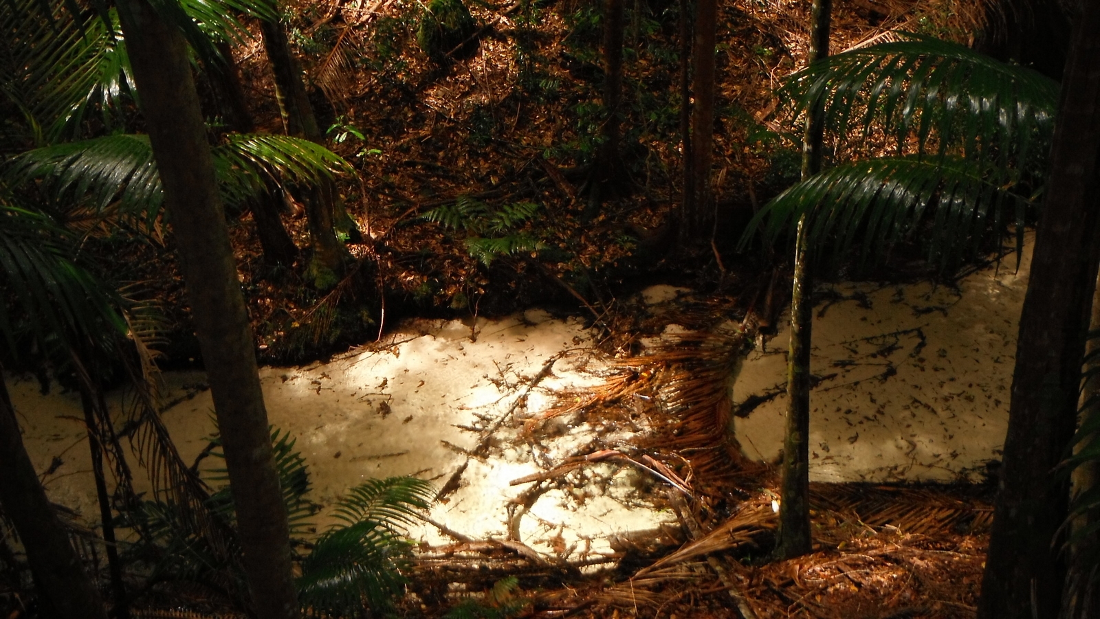 Fraser Island Sand bottom creek