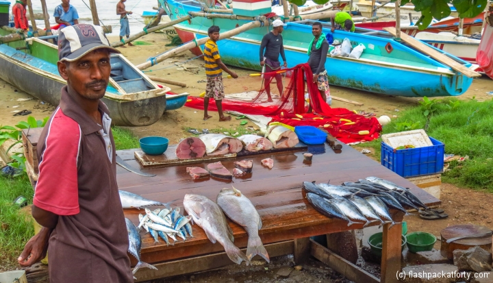 galle-fisherman-sells-his-catch