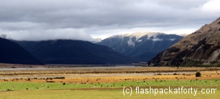 arthurs-pass-sheep-cow-view