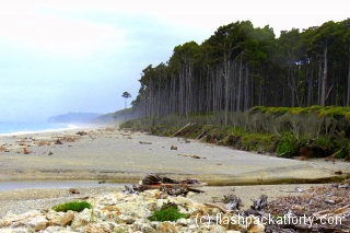 bruce-bay-near-haast