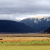 arthurs-pass-sheep-cow-view