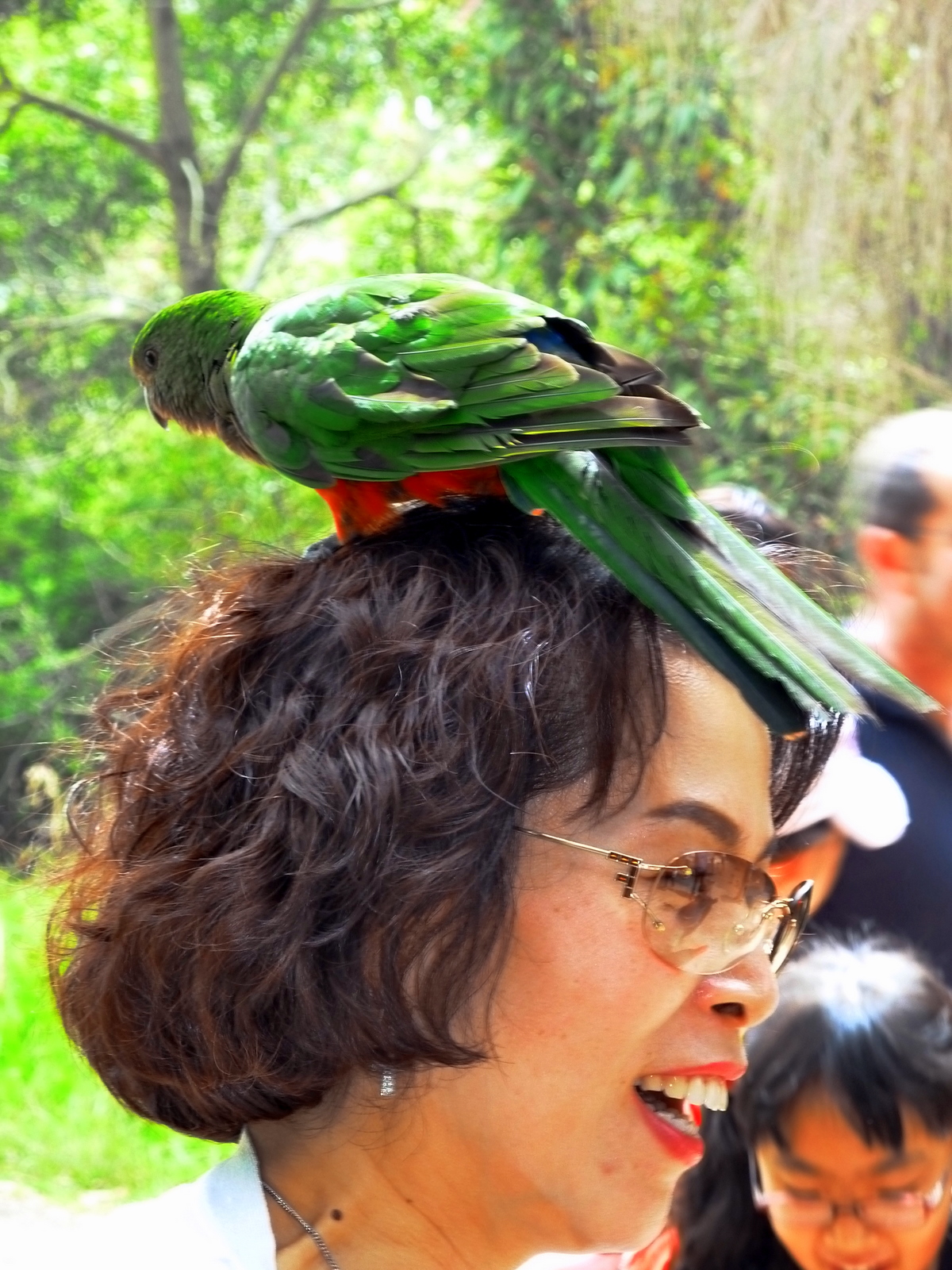 bird-on-head
