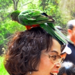 bird-on-head