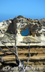 branch-and-hole-erosion