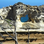 branch-and-hole-erosion