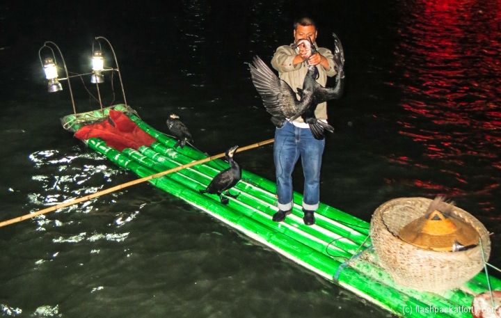 cormorant-fisherman-retrives-fish