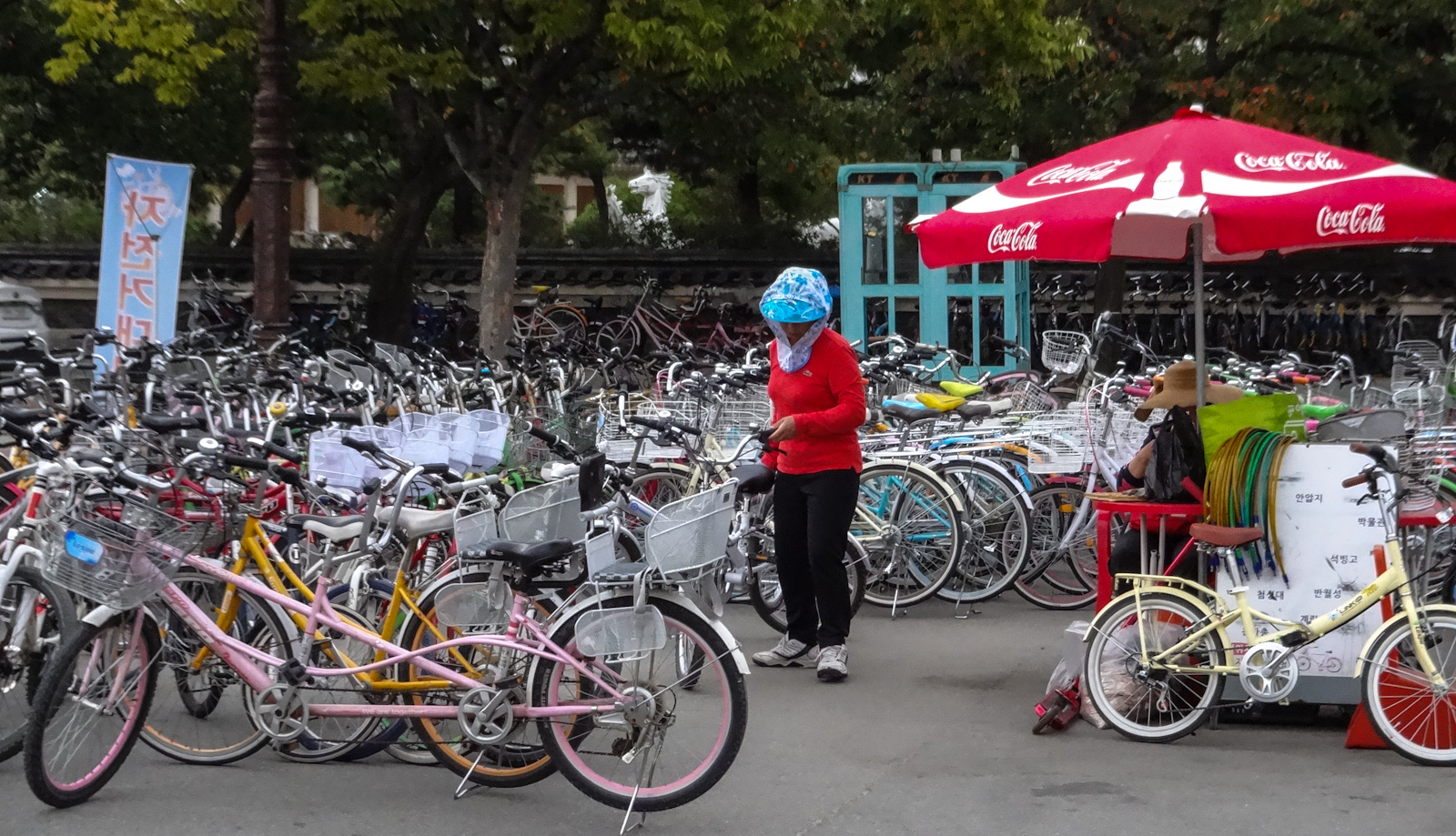 bikes-for-hire-gyeongju