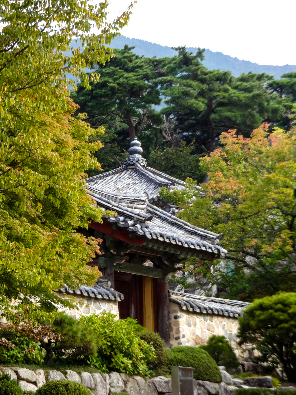 bulguksa-temple-autumn-colours-gyeongju