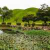 royal-tombs-at-gyeongju