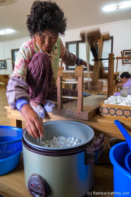silk-worm-spinning-gyeongju-korea