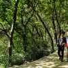 lovers-at-seokguram-grotto