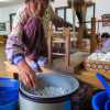 silk-worm-spinning-gyeongju-korea