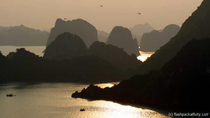 sunset dragonfly halong bay