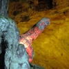 surprising cave halong bay