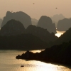sunset dragonfly halong bay