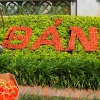 flower-art-hanoi-temple-of-literature