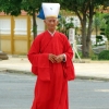 cao dai  red gown